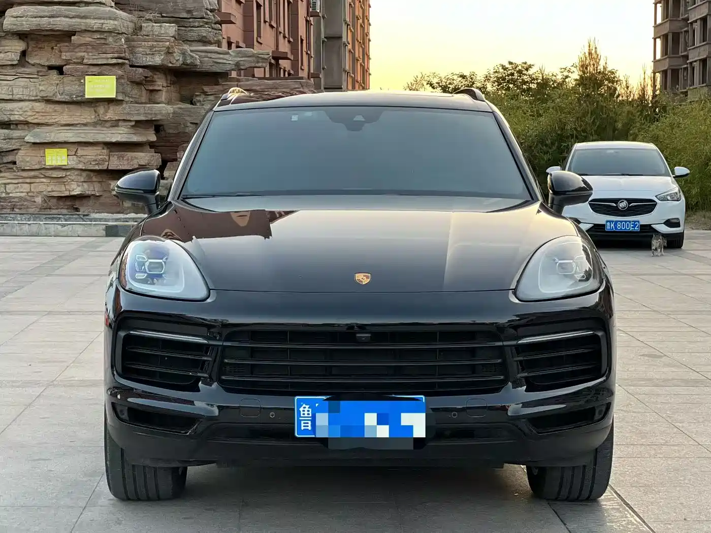 Porsche Cayenne 2022 Cayenne Coupé 3.0T Platinum Edition фото 2
