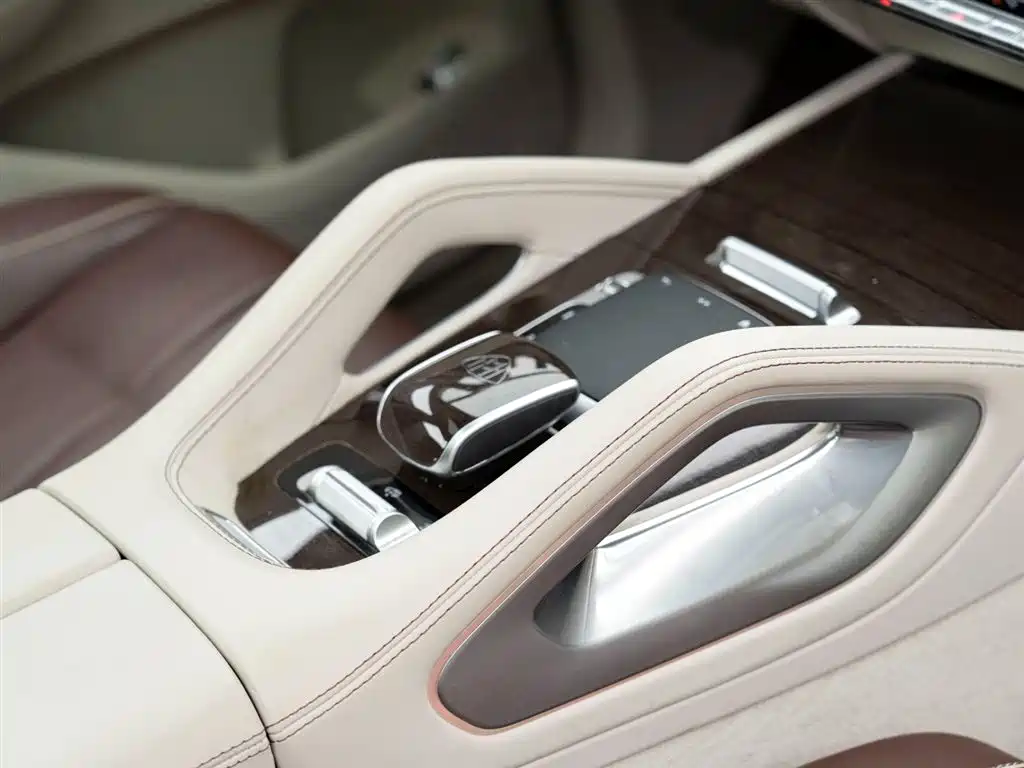Mercedes-Benz Maybach GLS 2021 GLS 480 4MATIC фото 16