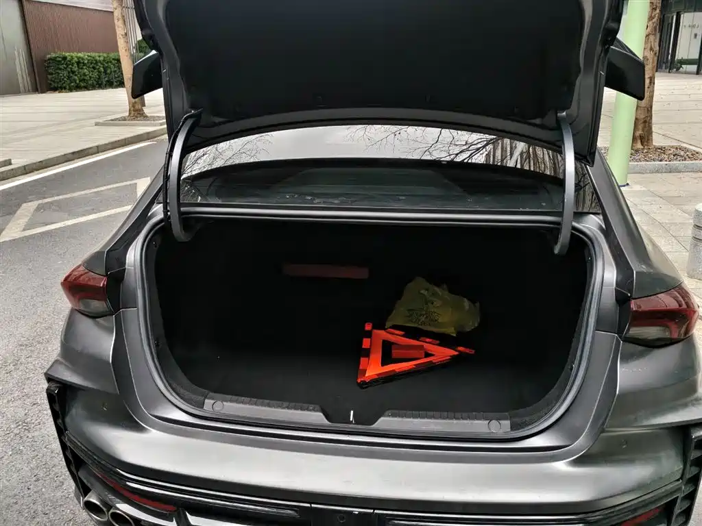 GAC TRUMPCHI SHADOW LEOPARD