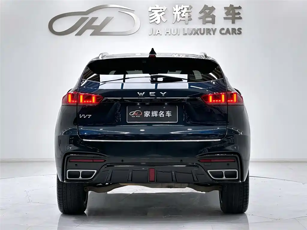 WEI PAI WEI BRAND VV7