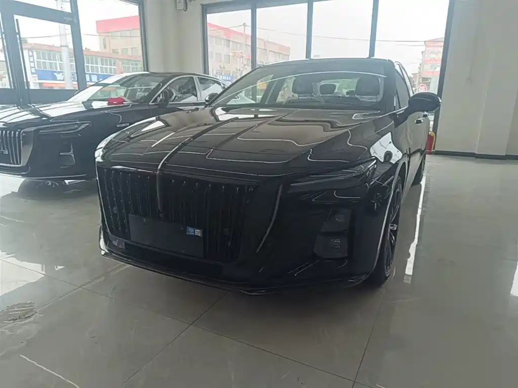 Hongqi H5 2025 2.0T Automatic Mystic Shadow 2 Million Edition фото 2