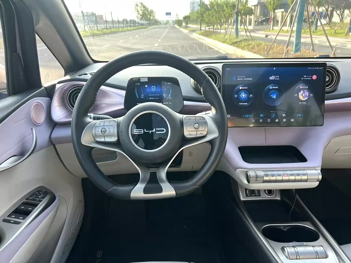 BYD Dolphin 2023 401km Knight Edition фото 13