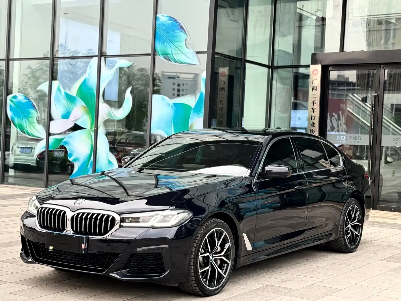 BMW 5 Series 2021 530Li Premium M Sport Package