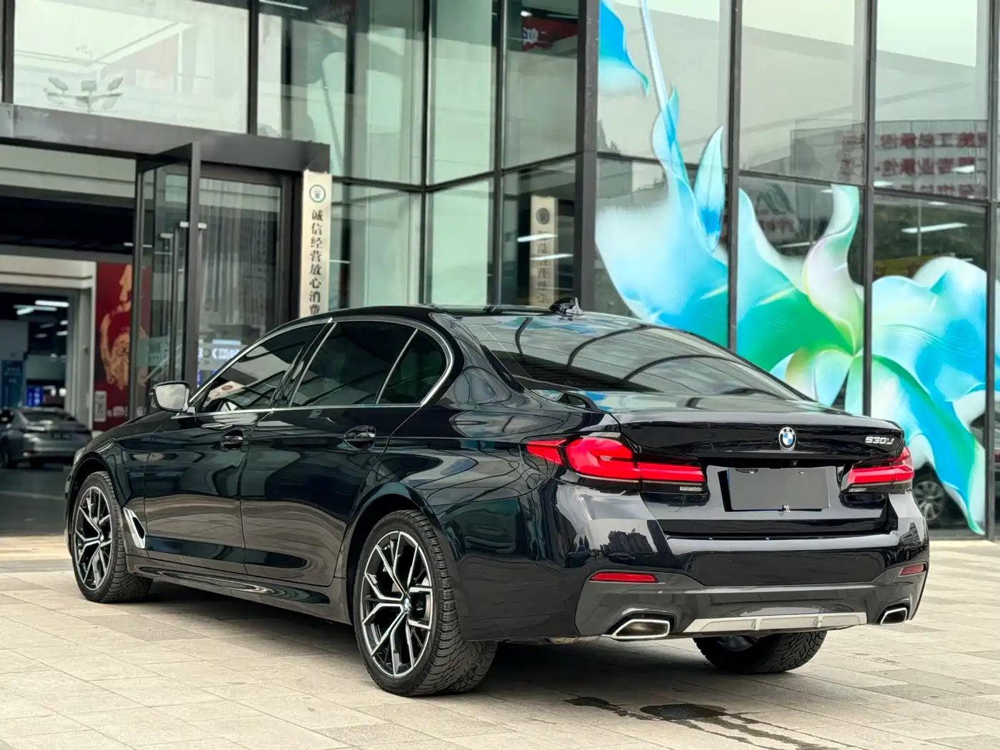 BMW 5 Series 2021 530Li Premium M Sport Package фото 11