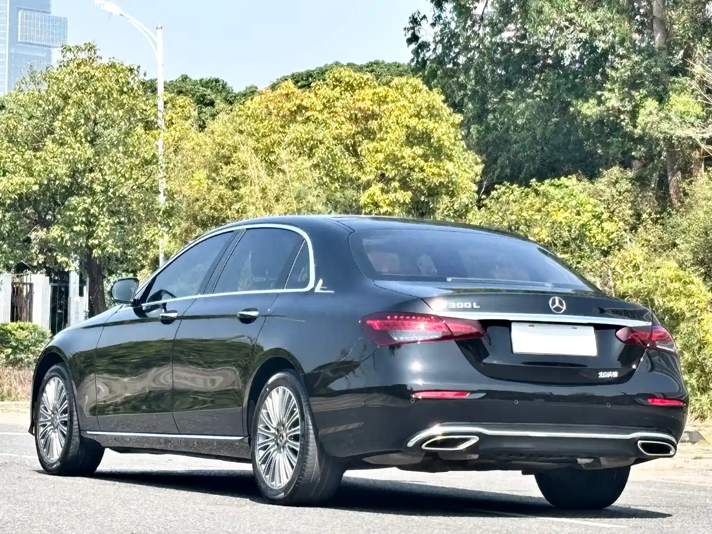 Mercedes-Benz E-Class 2023 E 300 L Luxury фото 24