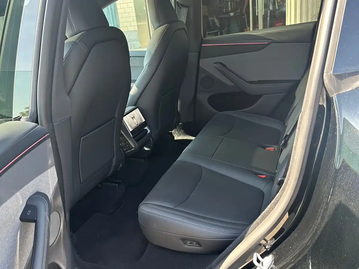 Tesla Model Y 2026 Rear-Wheel Drive фото 12