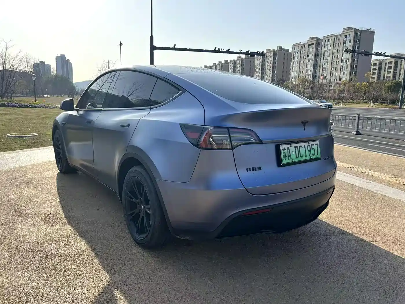 TESLA MODEL Y