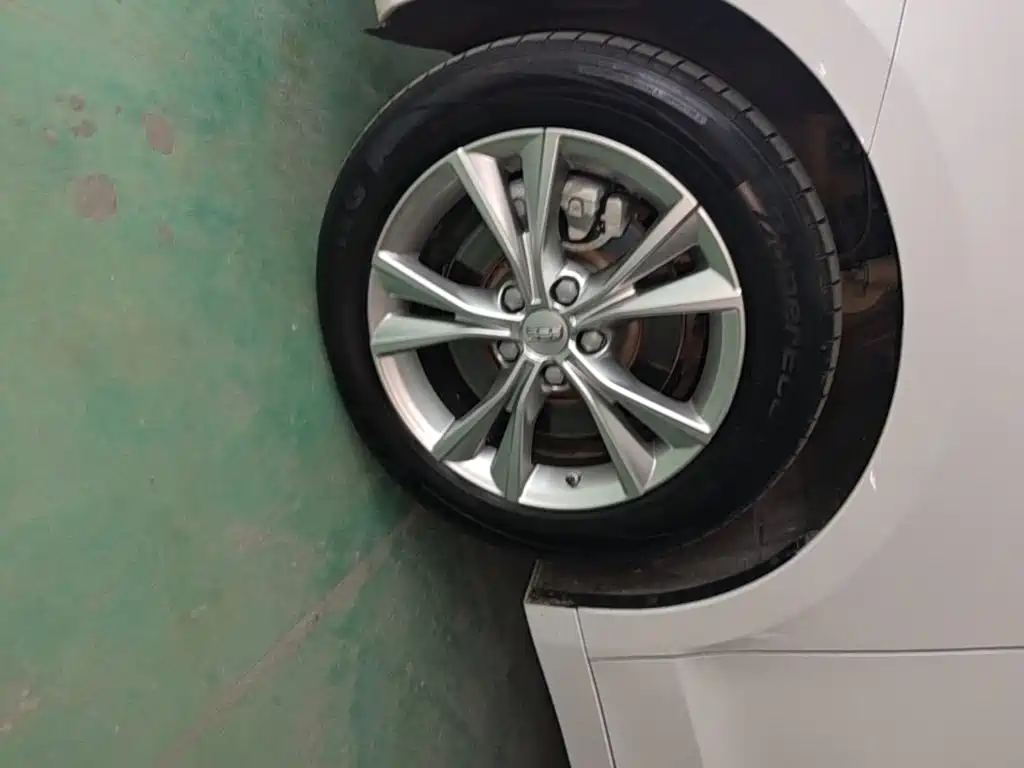 Фото 23 - Geely Borui