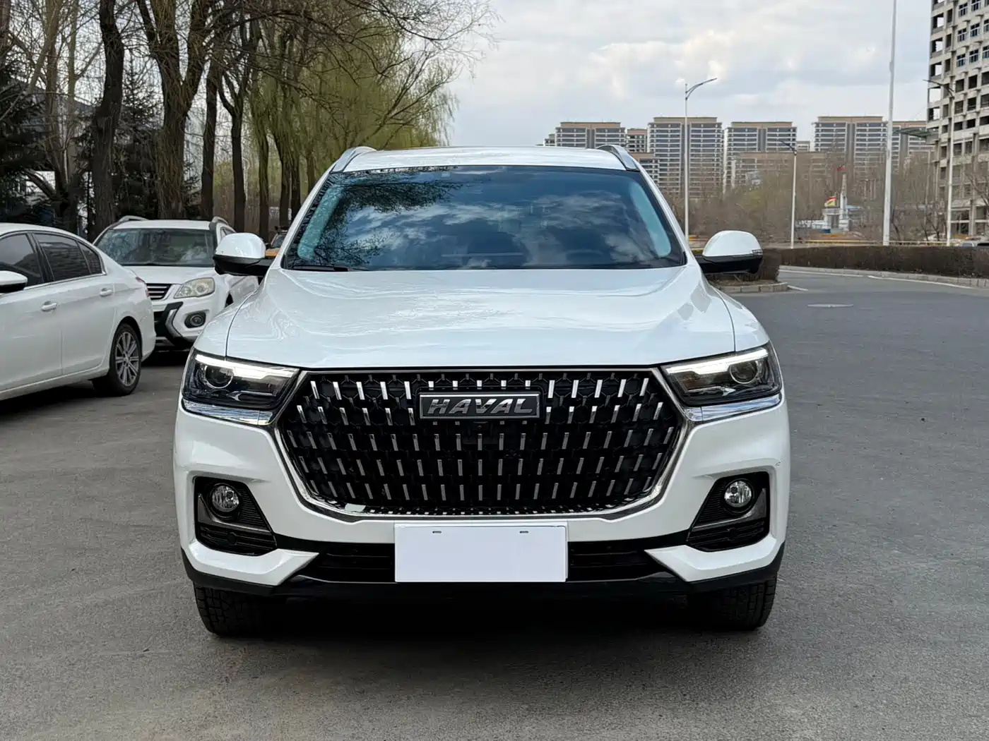 Haval H6 2023 National Trend Edition 1.5T Automatic Urban фото 2