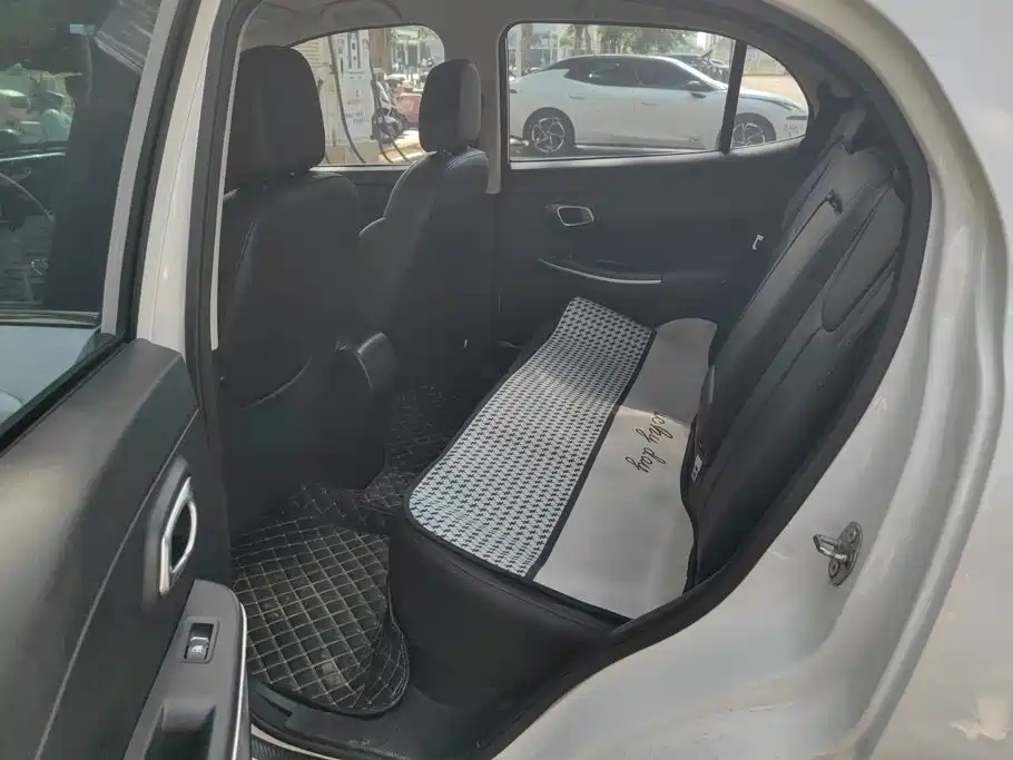 Dayun Yuehu 2022 2022 Facelift 30.66kWh 2WD VIP Edition
