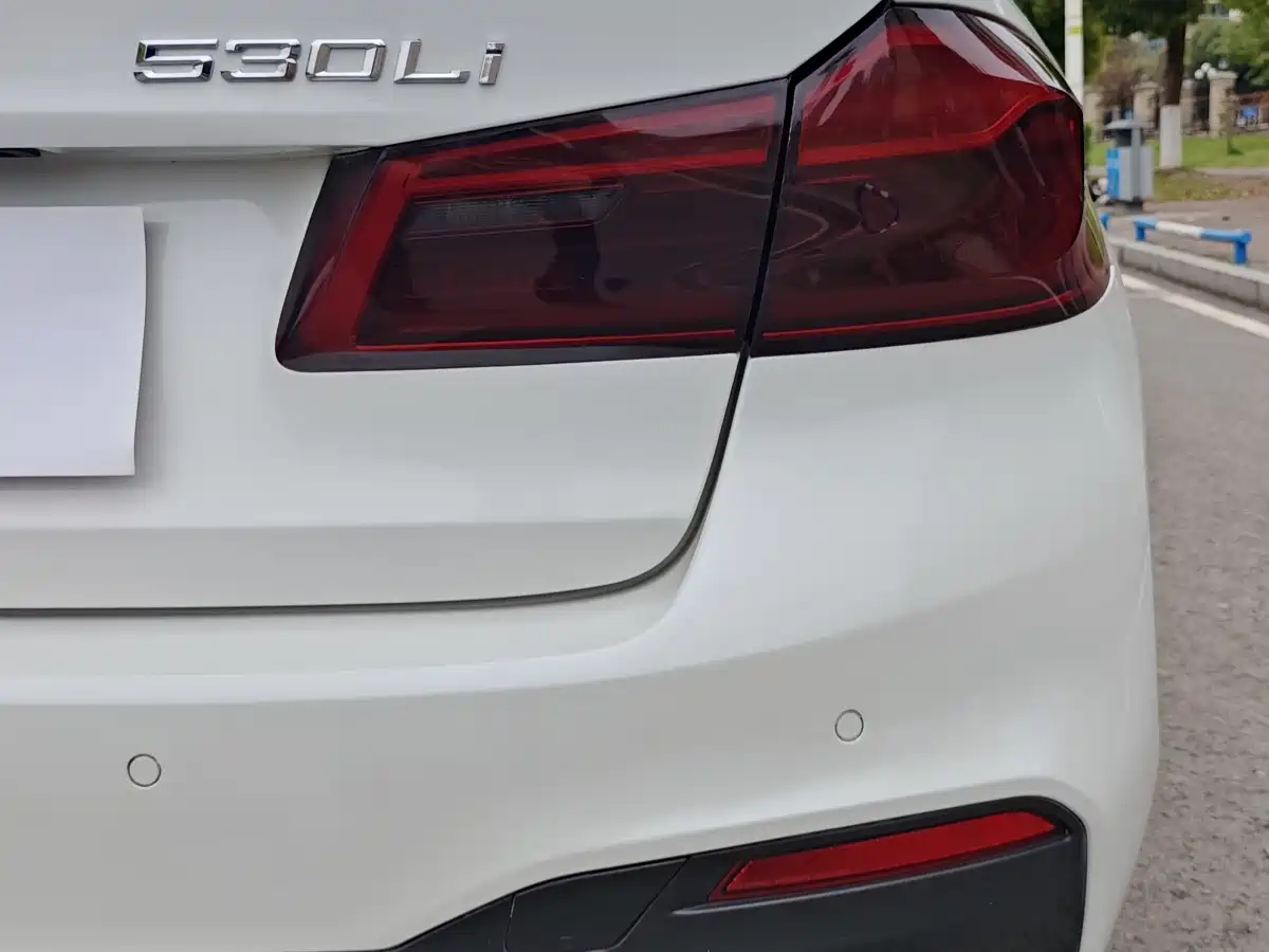 BMW 5 Series 2018 530Li Leading M Sport Package фото 12