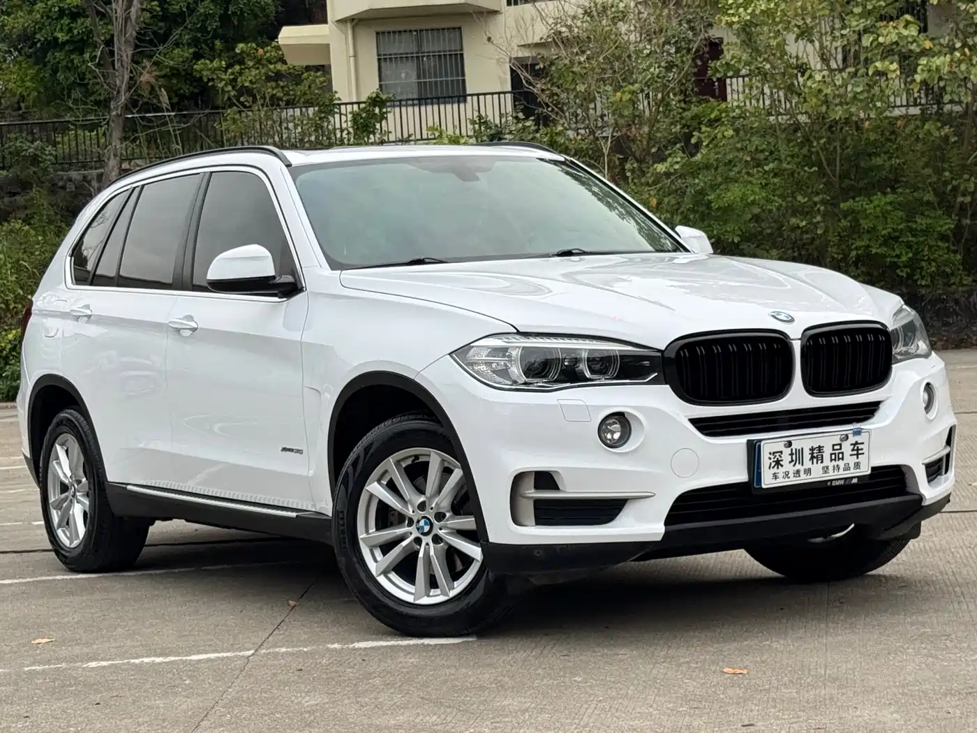 BMW X5 (Import) 2014 xDrive35i Elegance фото 4