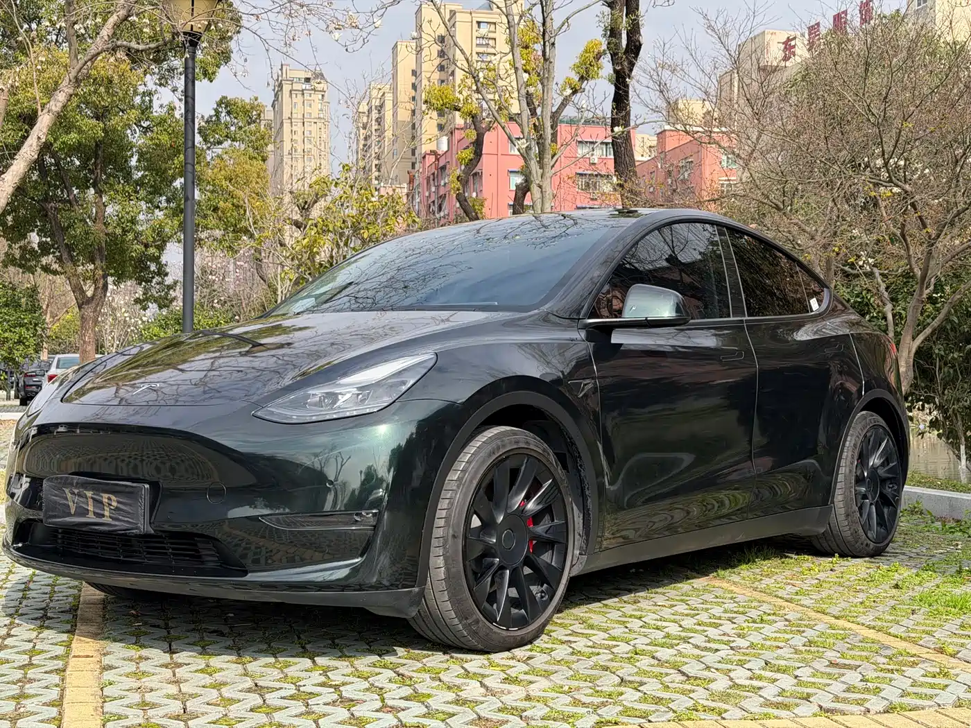 TESLA MODEL Y