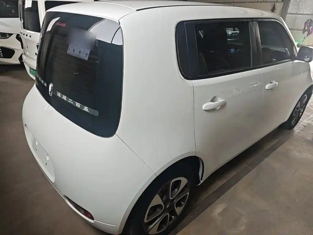 Ora White Cat 2021 2022 Upgraded 305km Luxury (NMC)