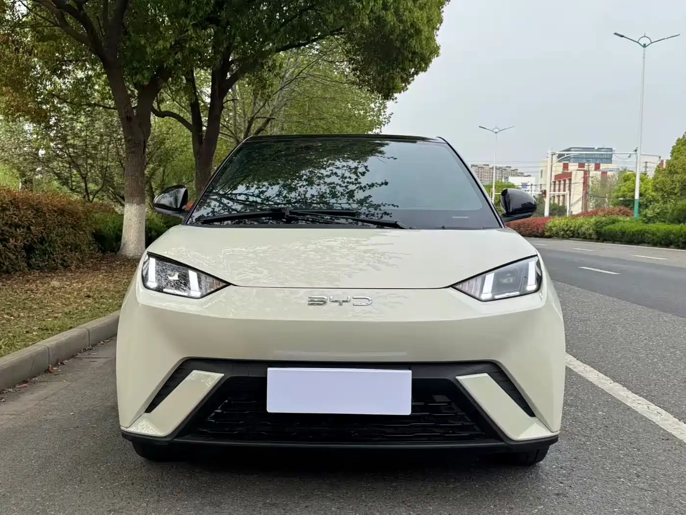 BYD Seagull 2024 Glory Edition 305km Freedom Edition фото 2