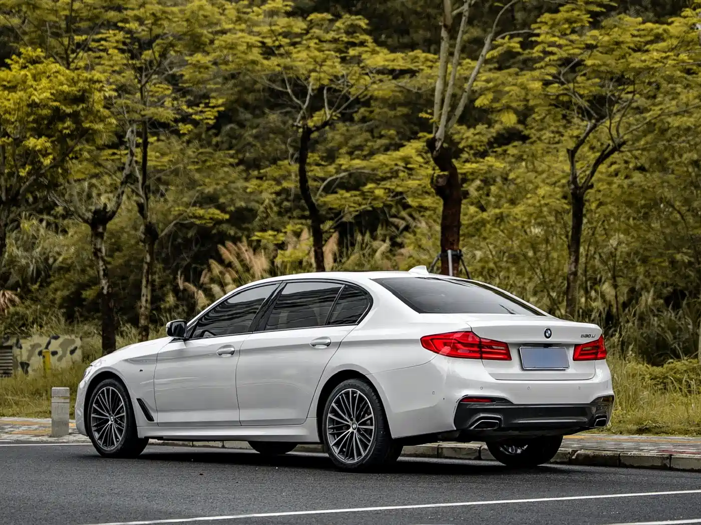 BMW 5 Series 2019 Facelift 530Li Leading M Sport Package фото 3