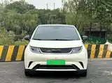 Фото 2 - BYD Dolphin