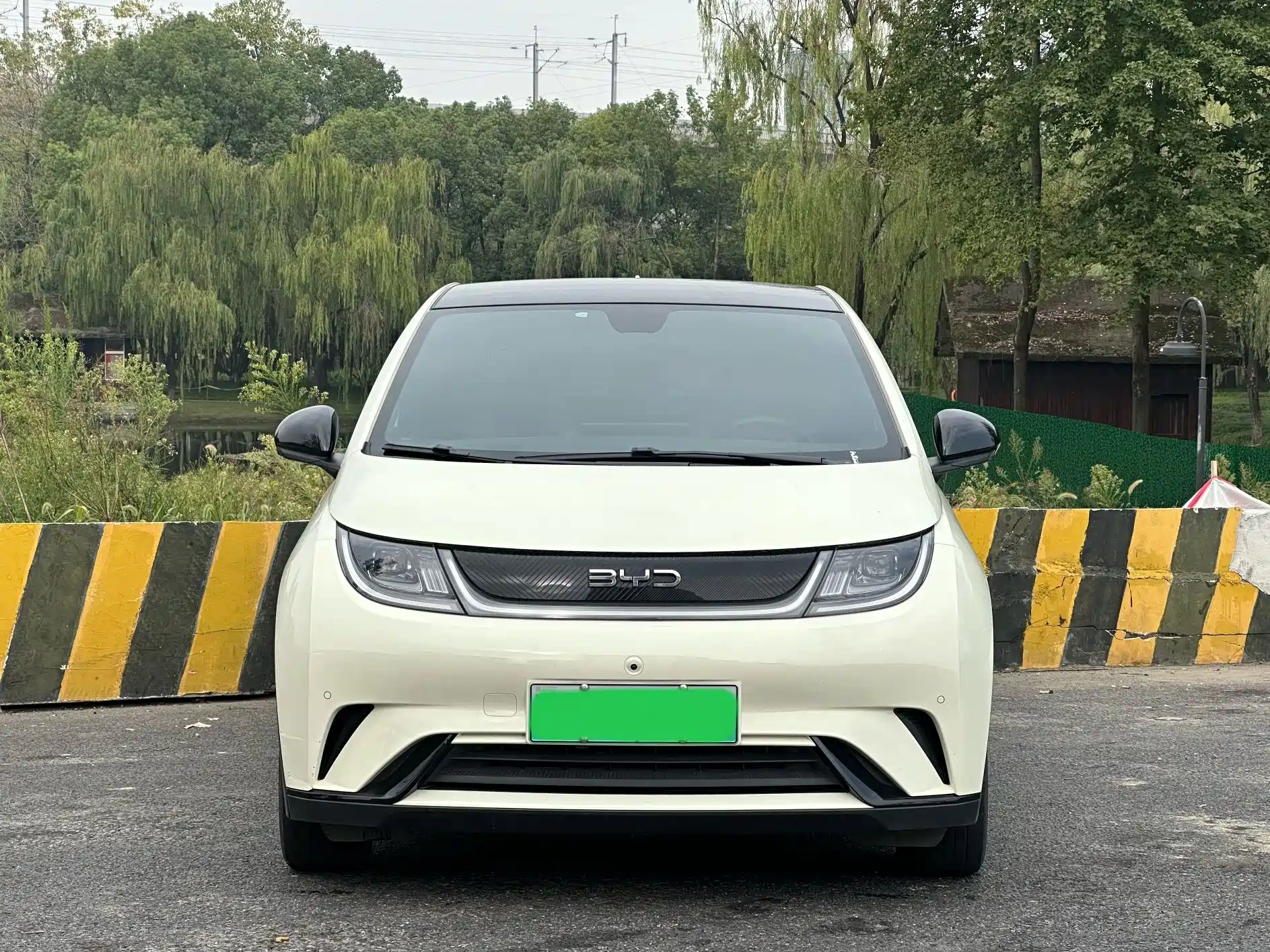 Фото 2 - BYD Dolphin