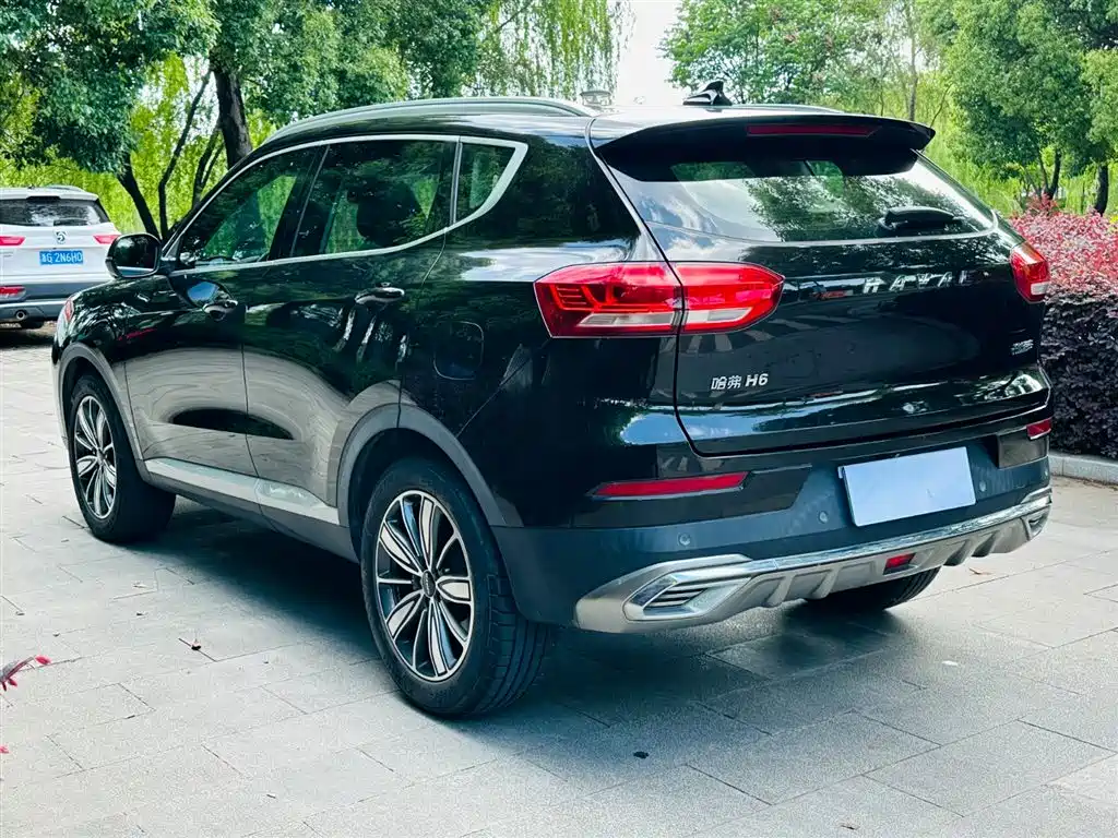 Haval H6 2021 1.5GDIT Automatic Champion Edition фото 9