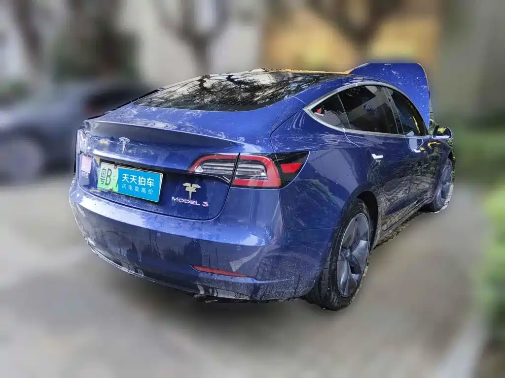 Tesla Model 3 2020 2020 Standard Range Rear-Wheel Drive Upgrade