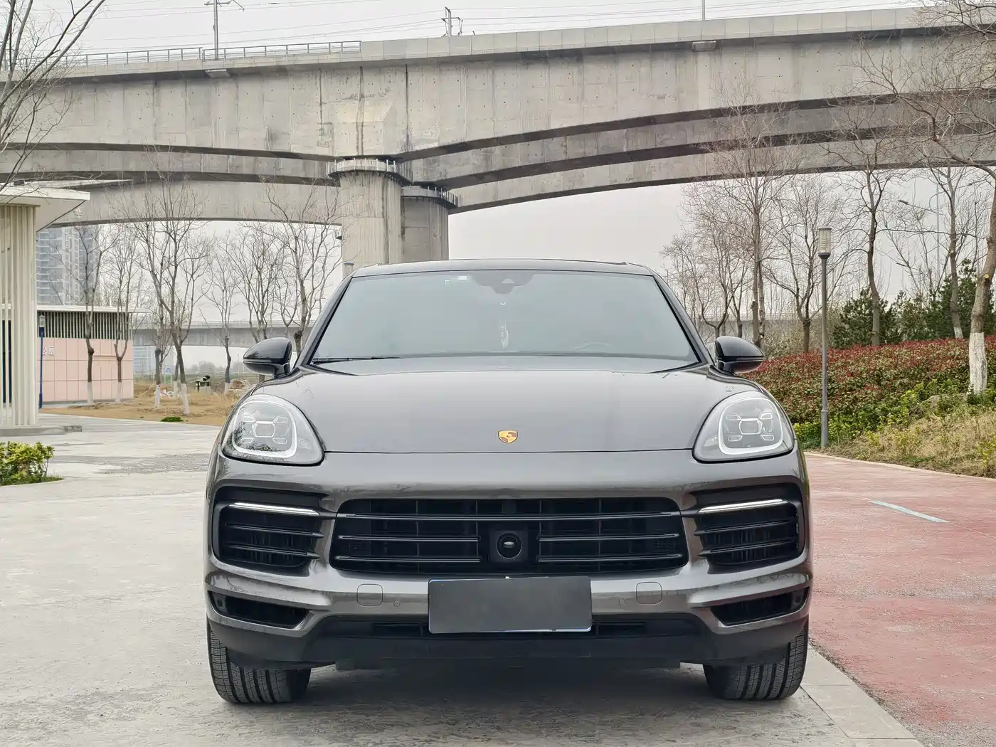 Porsche Cayenne 2022 Cayenne 3.0T Platinum Edition фото 2