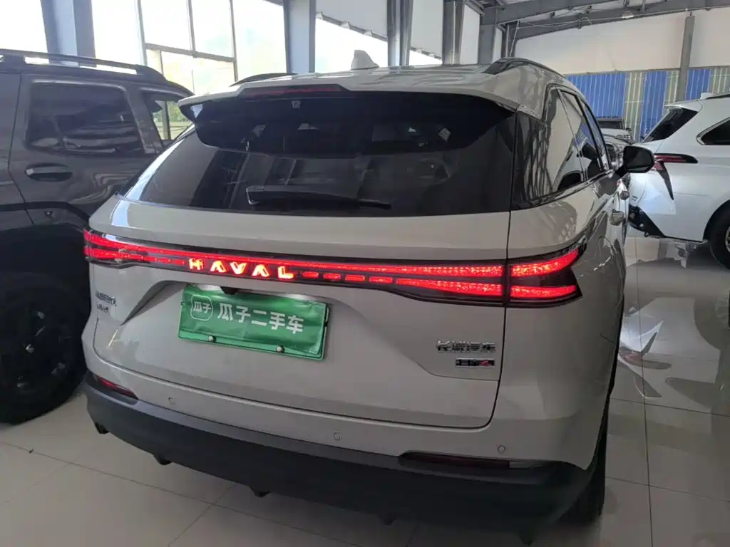 Фото 6 - Haval Xiaolong MAX