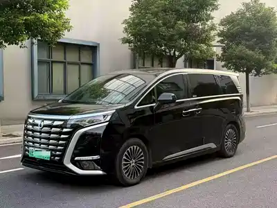Denza D9