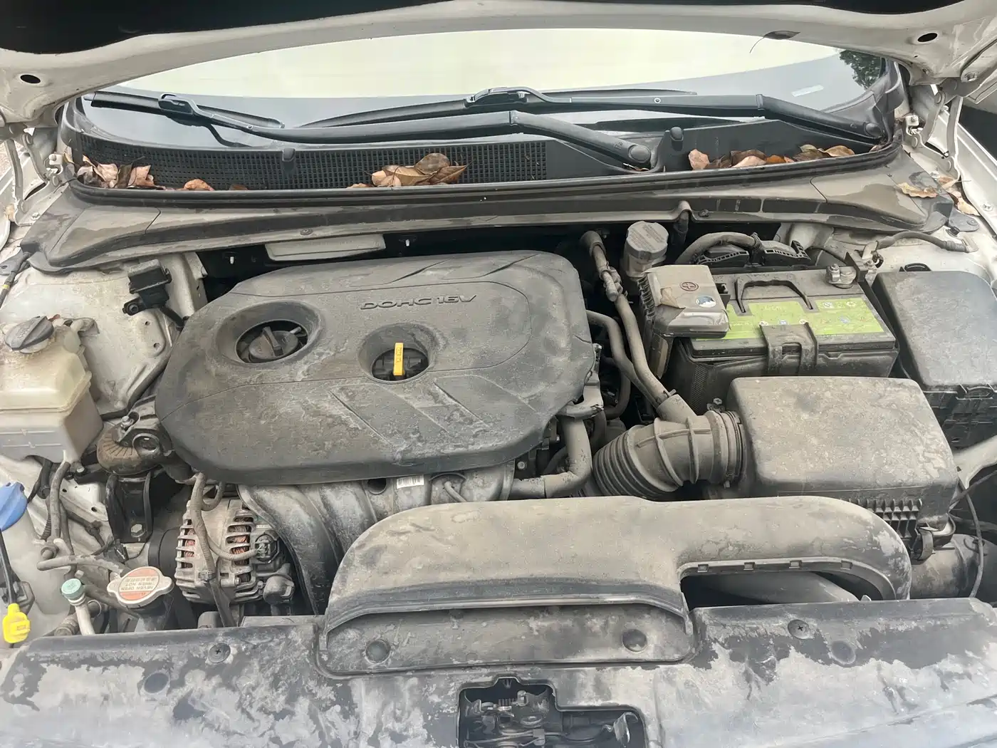 HYUNDAI NAME PICTURE