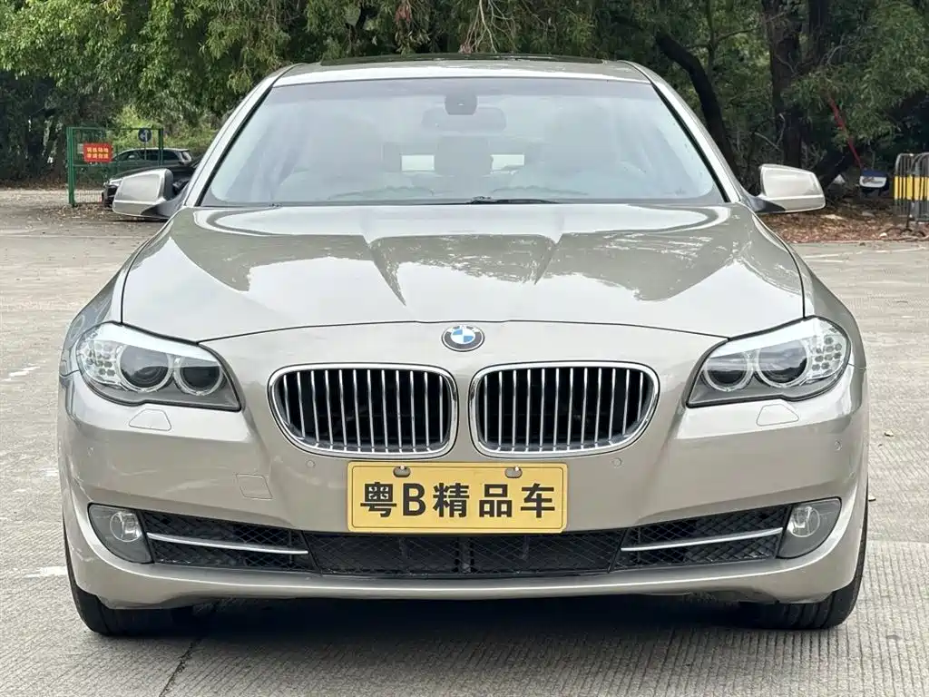 BMW 5 Series 2011 528Li Leading фото 2