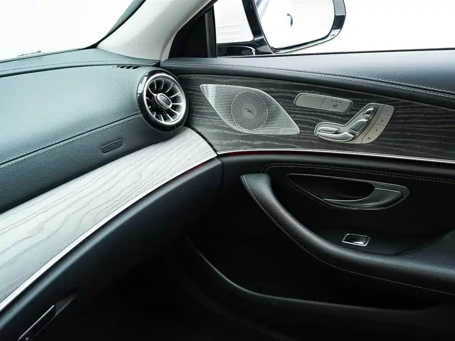 Mercedes-Benz CLS 2020 CLS 300 Luxury фото 12
