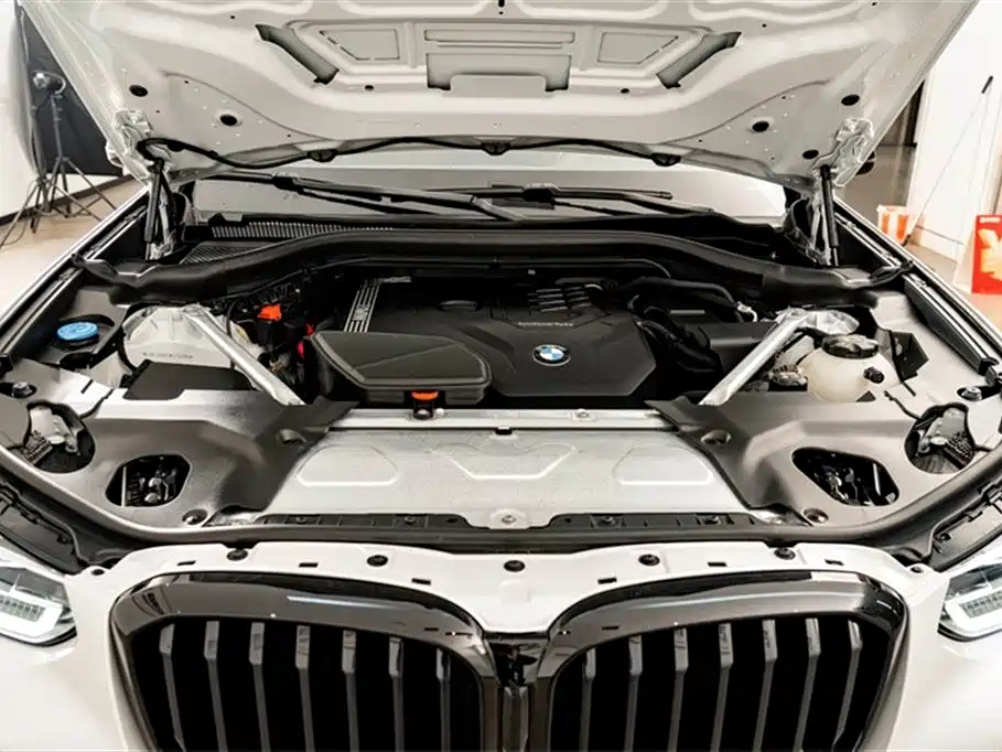 BMW X3 2022 xDrive30i Leading M Night Package фото 25