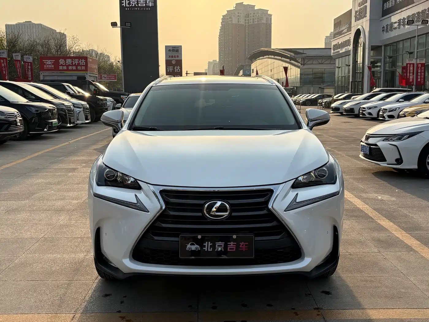 LEXUS NX