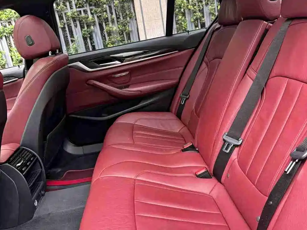 BMW 5 Series 2018 530Li Leading M Sport Package фото 10