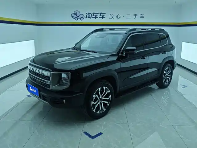 HAVAL BIG DOG 2024