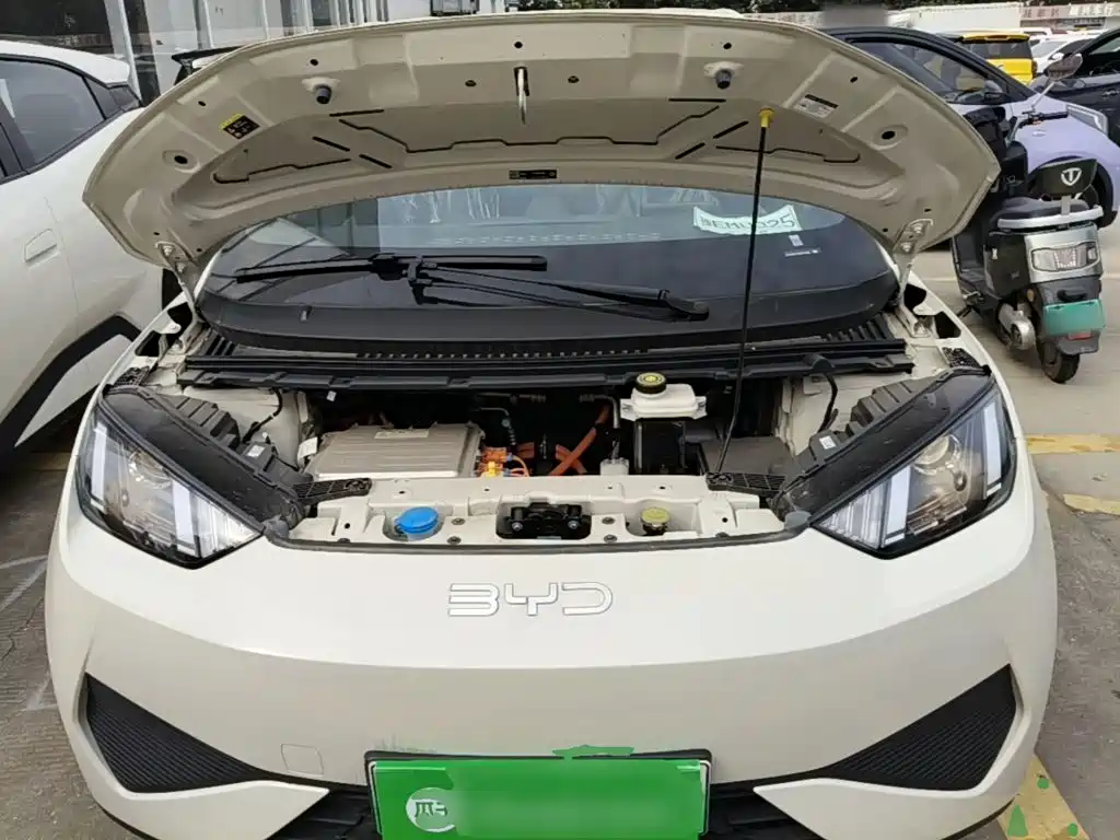 BYD Seagull 2026 2025 Smart Drive Edition 305km Vitality Version