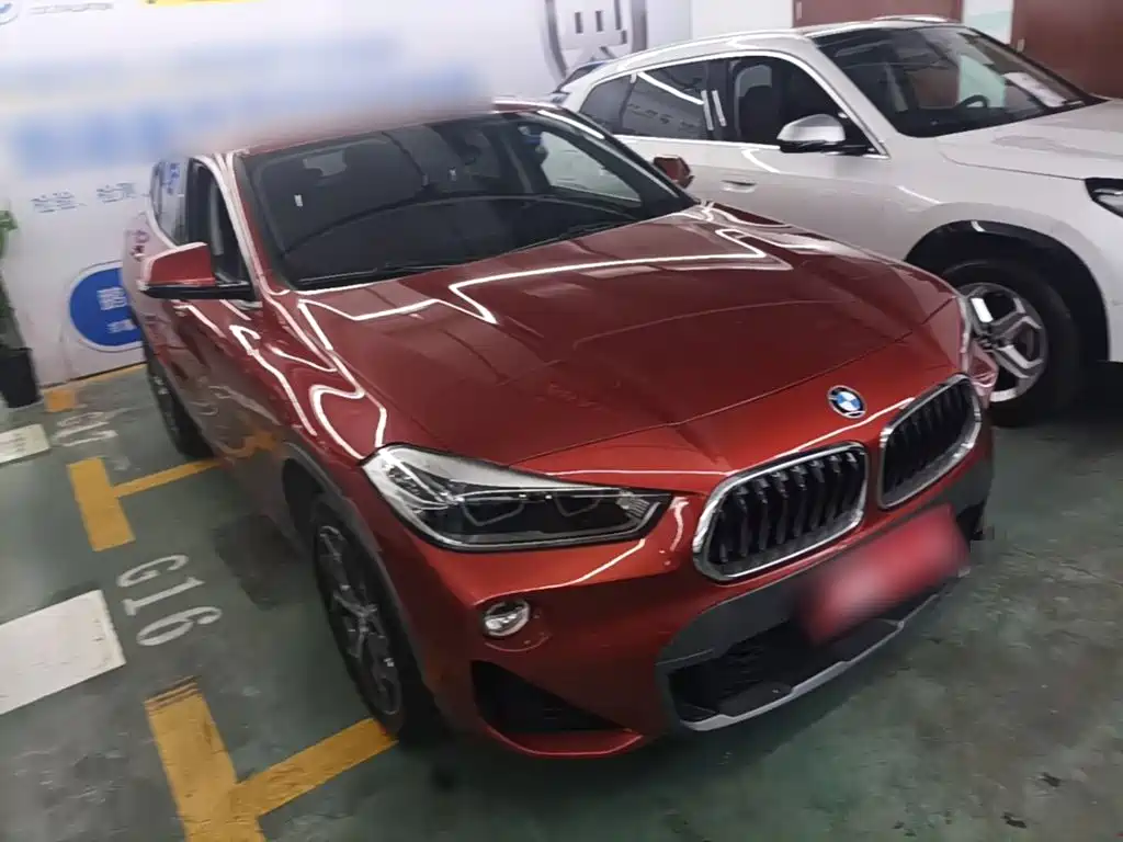 BMW X2 (Import) 2019 2019 sDrive20i M Off-Road Package China VI