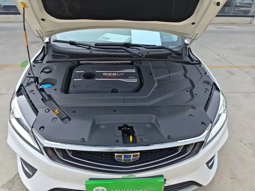 Geely Binrui 2019 2018 1.4T Manual Binzhi Edition