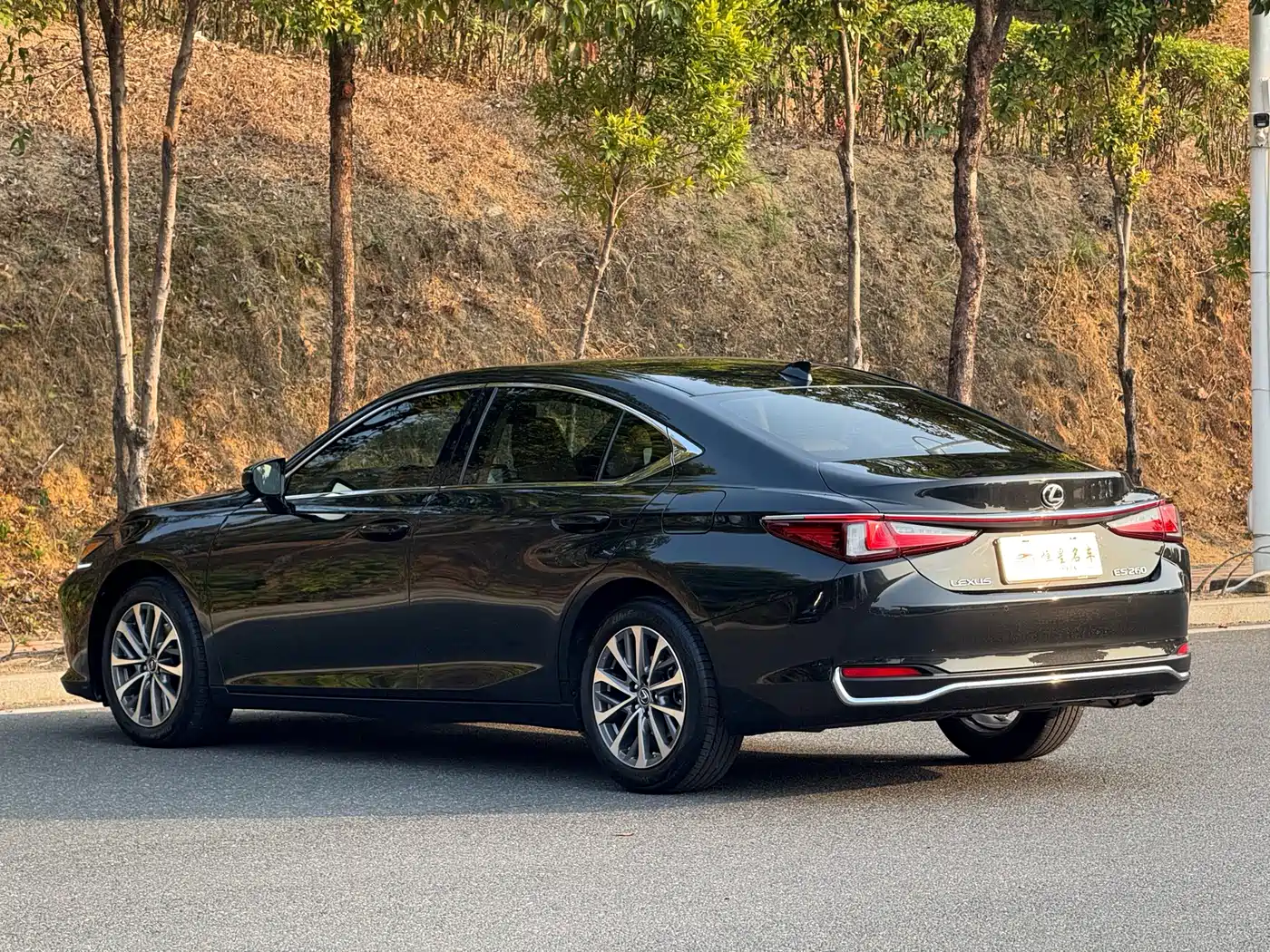 Lexus ES 2023 200 Excellence Edition фото 7