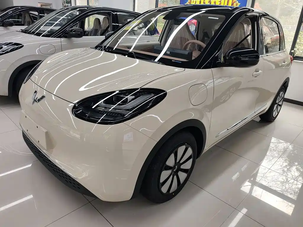 Wuling Motors Wuling Bingo 2026 2025 Model 333km Joy Edition