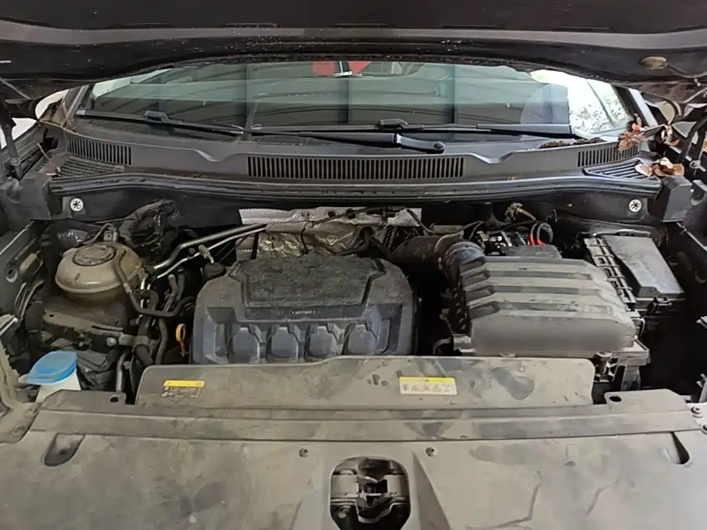 صورة 20 - Volkswagen Talagon