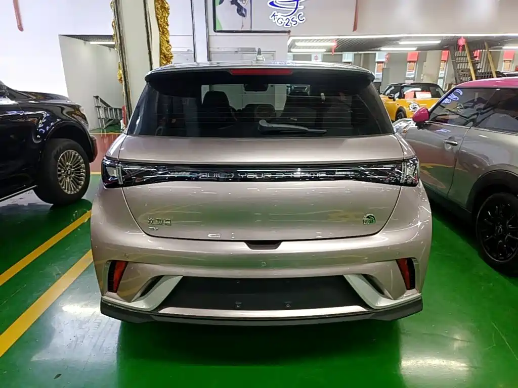 Фото 6 - BYD Dolphin