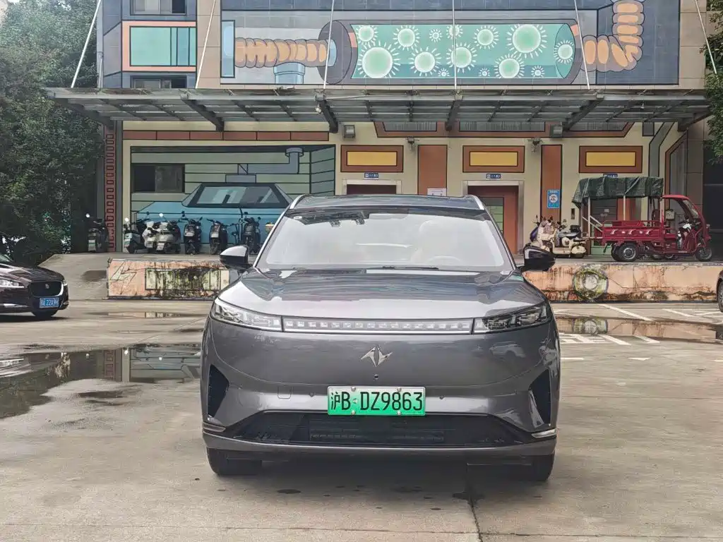 2025 Dongfeng Yipai eπ008