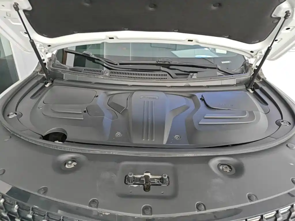 Dongfeng Fengguang Fengguang 580Pro 2020 2020 280TGDI CVT Pilot Edition