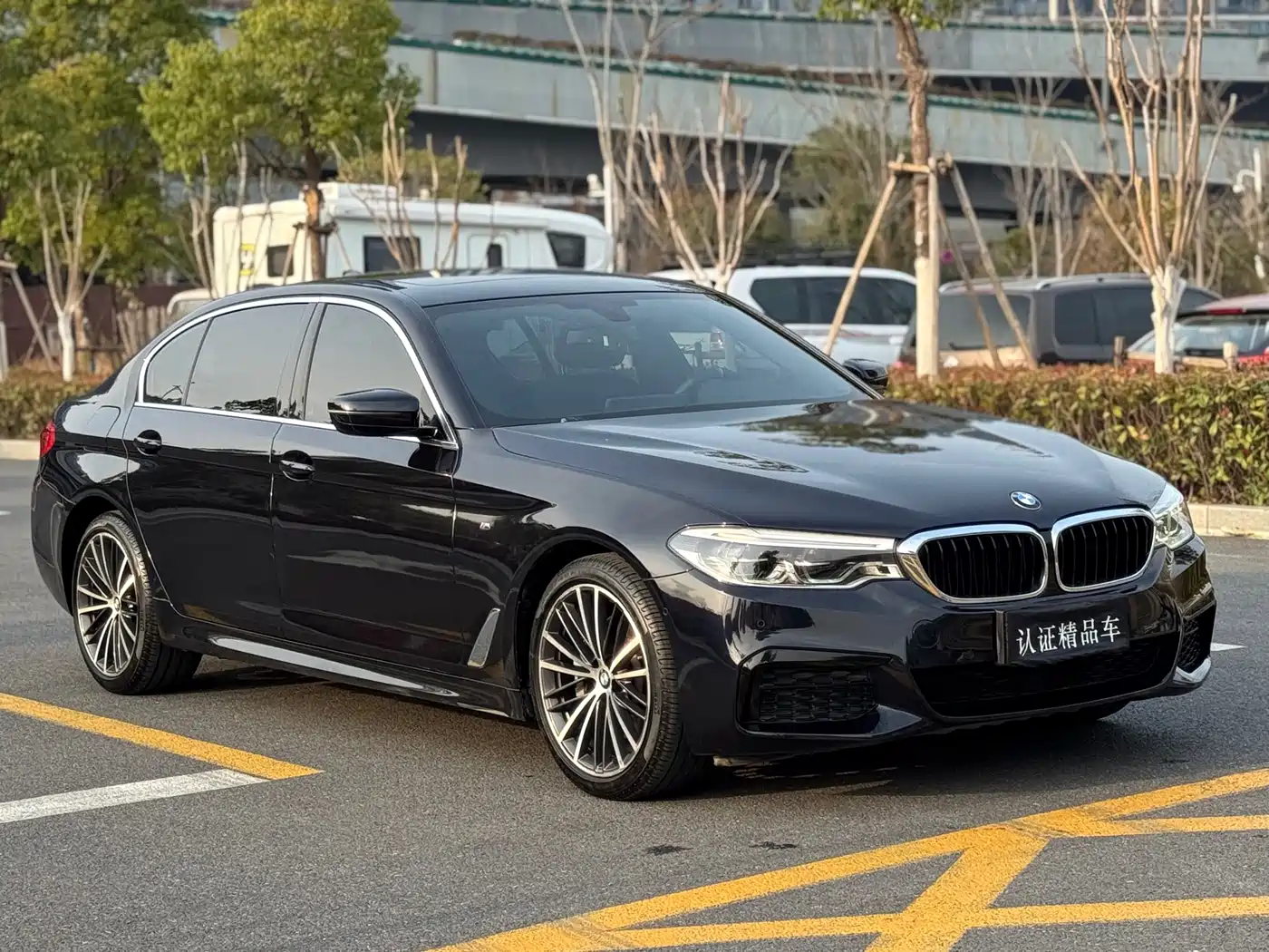 BMW 5 Series 2020 530Li Leading M Sport Package фото 3