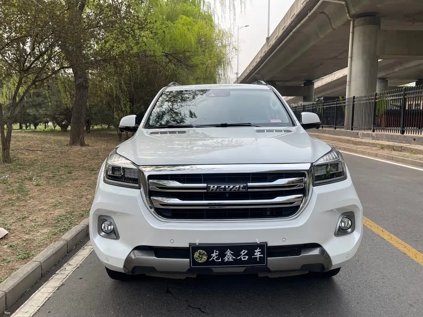 HAVAL H9
