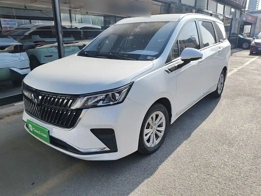 Wuling Motors Wuling Jiachen 2022 1.5T Manual Light Vitality Edition