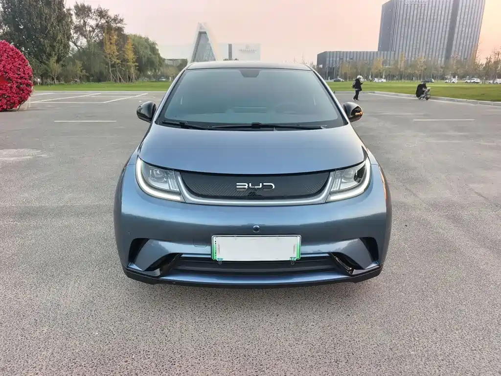 Фото 12 - BYD Dolphin