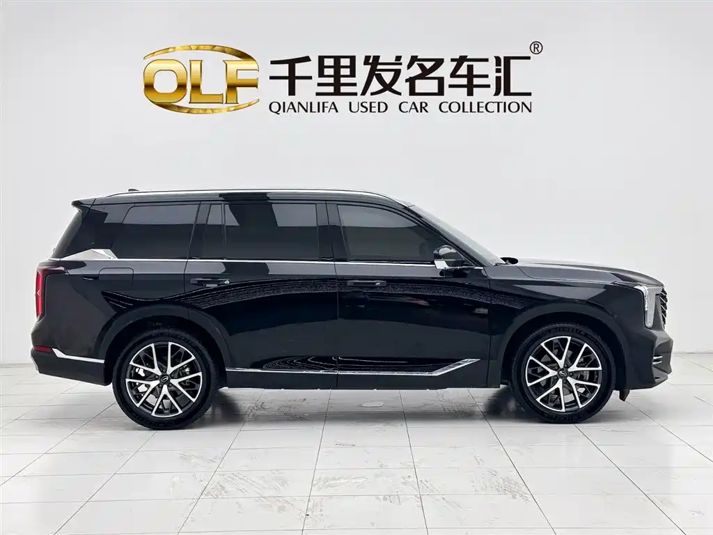 GAC Trumpchi Trumpchi GS8 2025 Pilot Series 2.0TGDI 2WD Luxury Edition 5-seater фото 7
