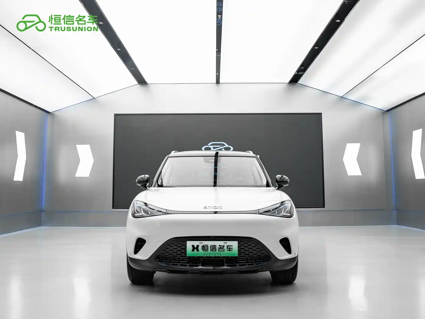 smart Elf #1 2025 2024 Agile Standard Edition