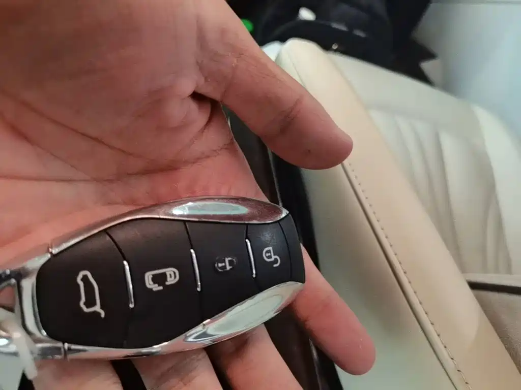 Hongqi HQ9 2023 2023 2.0T Smart Connect Flagship